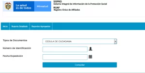 Cómo obtener información sobre pensiones a través del RUAF en Colombia