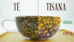diferencia entre té y tisana