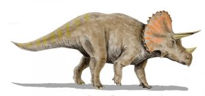 características del dinosaurio triceratops