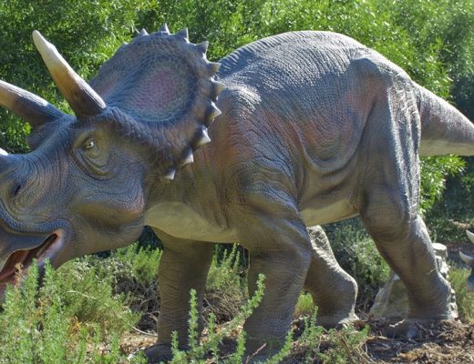 dieta del triceratops