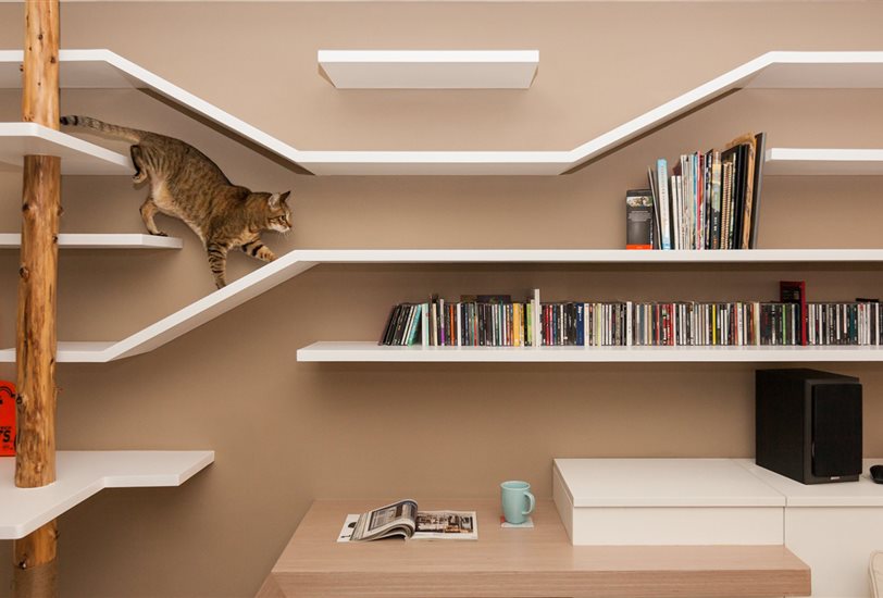 Diseños de espacios para gatos