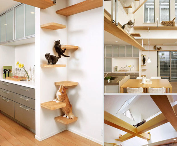 Diseños de espacios para gatos